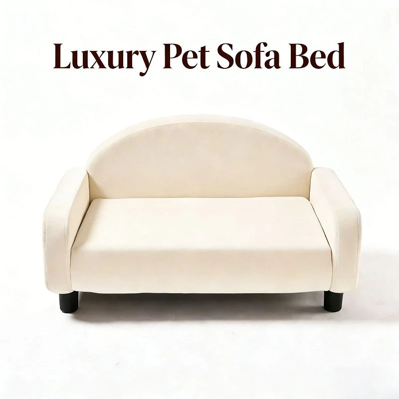 product-800-800